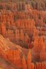 Bryce Canyon Hoodoos.jpg